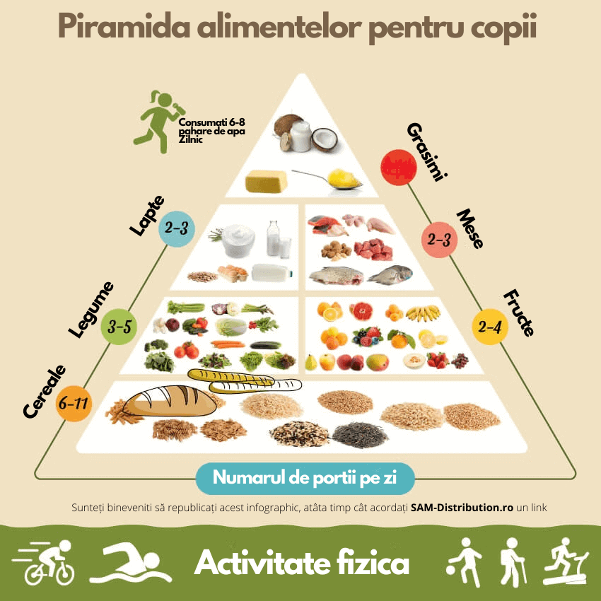 piramida alimentelor pentru copii